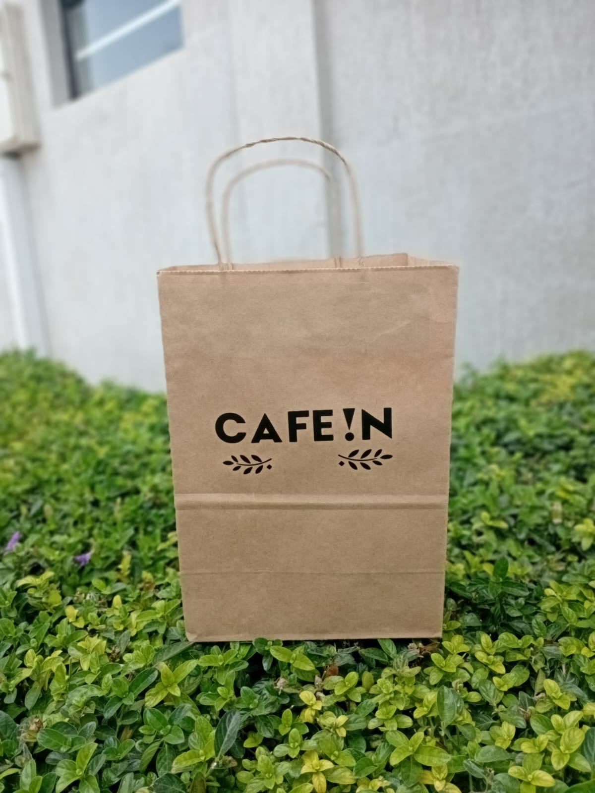 Branded carrier bags